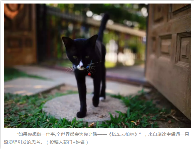 人生就是博·(中国) - 官方网站